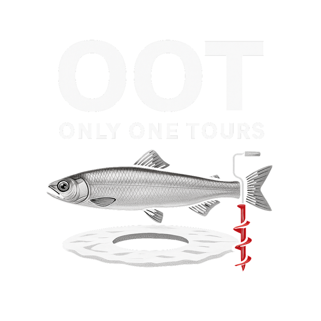 ONLY ONE TOURS