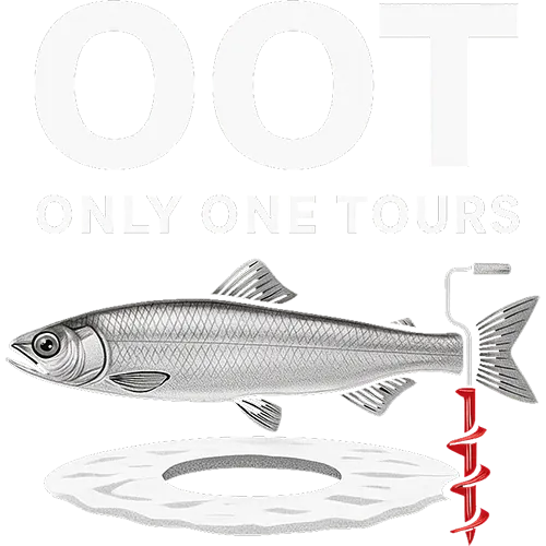 ONLY ONE TOURS